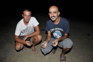 Demre_Yavru_cerattalar