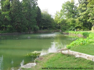 Melbweiher botanischer Garten Bonn. Villa Amanda der Schildkrötenblog