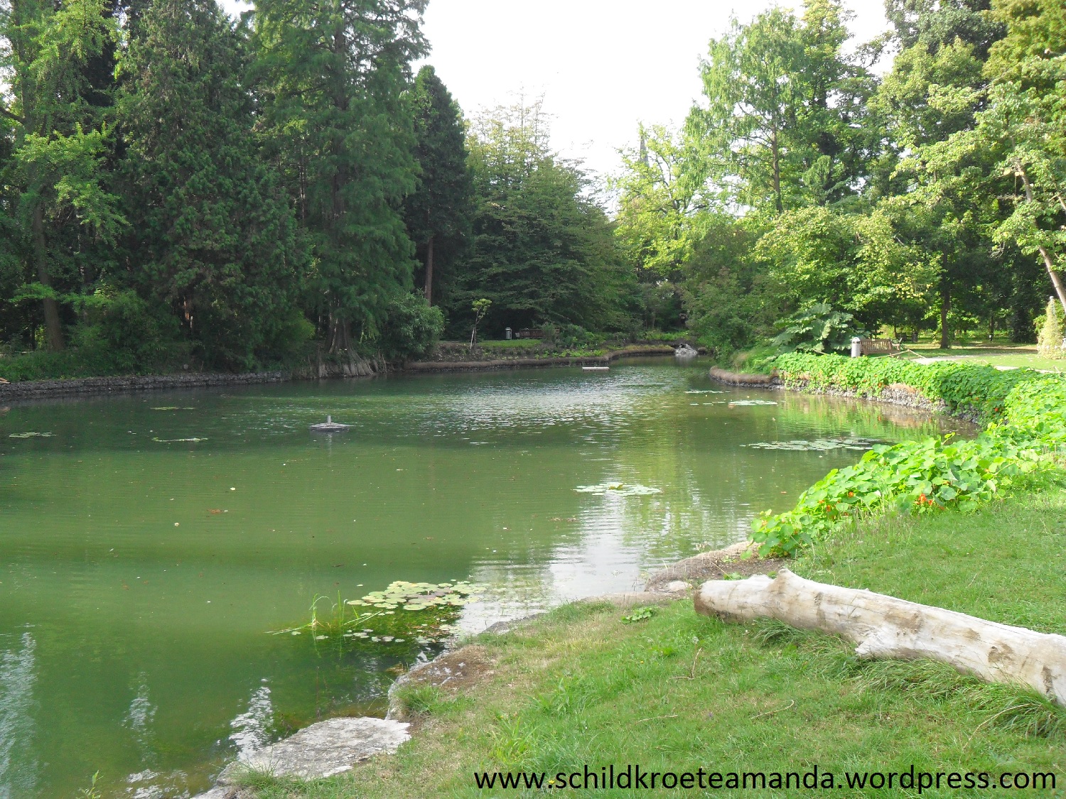 Melbweiher botanischer Garten Bonn. Villa Amanda der Schildkrötenblog