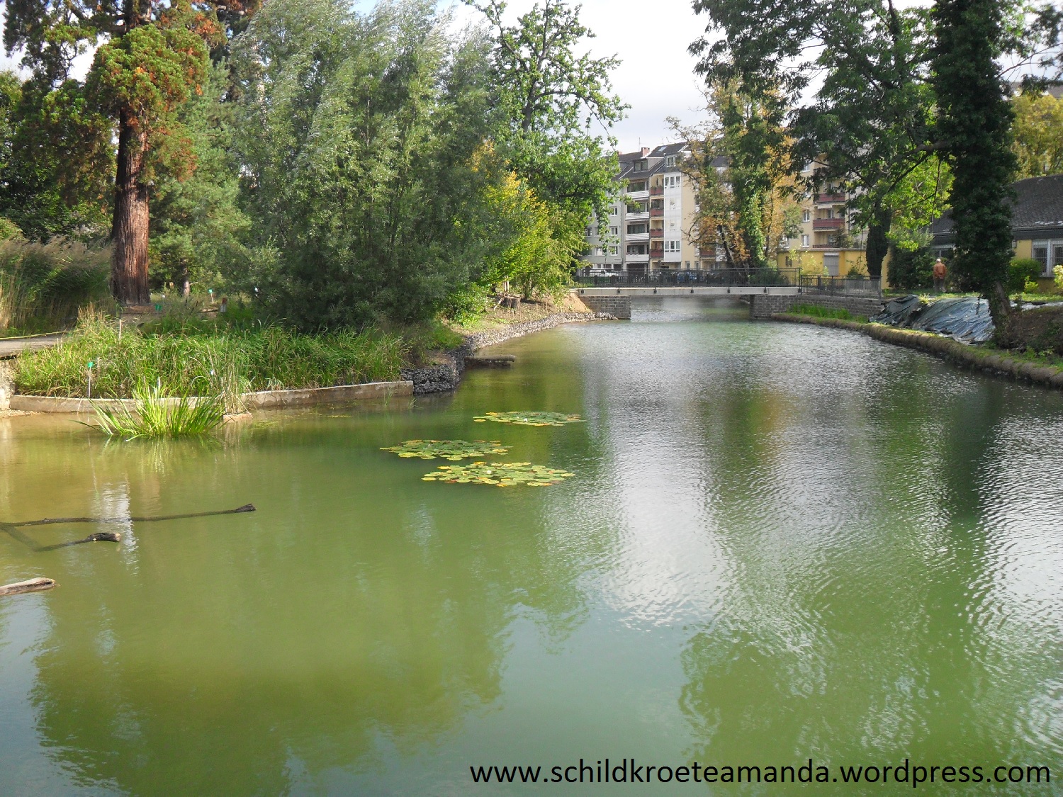 Melbweiher botanischer Garten Bonn. Villa Amanda der Schildkrötenblog