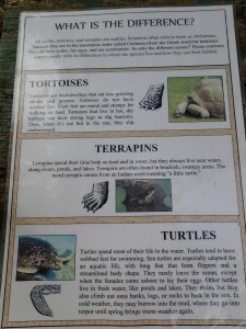 © World of Birds Cape Town, South Africa