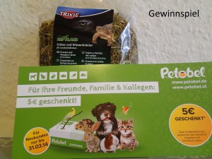 Gewinnspiel Villa Amanda Griechische Landschildkröte
