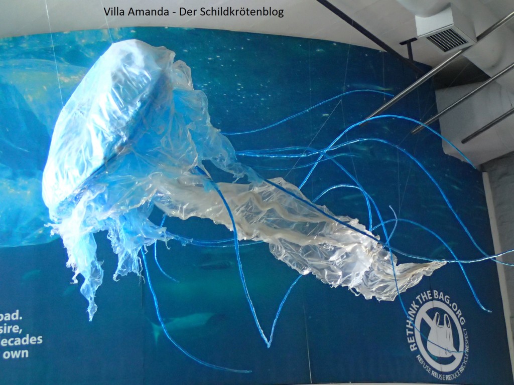 Müllskulptur Two Oceans Aquarium Cape Town