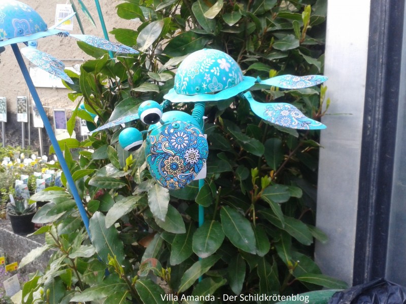 Schildkröte Maria Laach